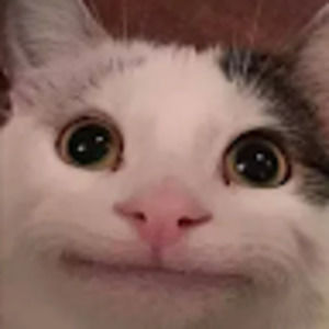 Meet your Posher, Chloe